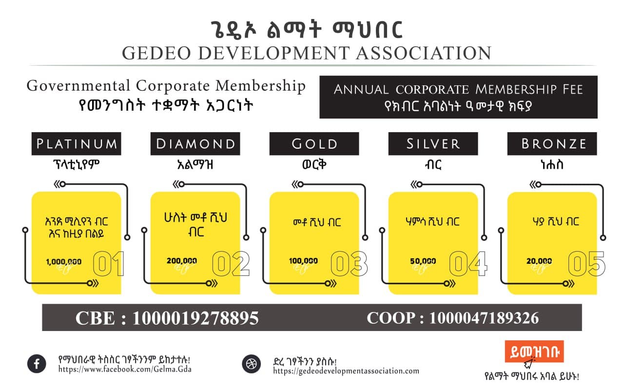 የመንግስት ተቋማት