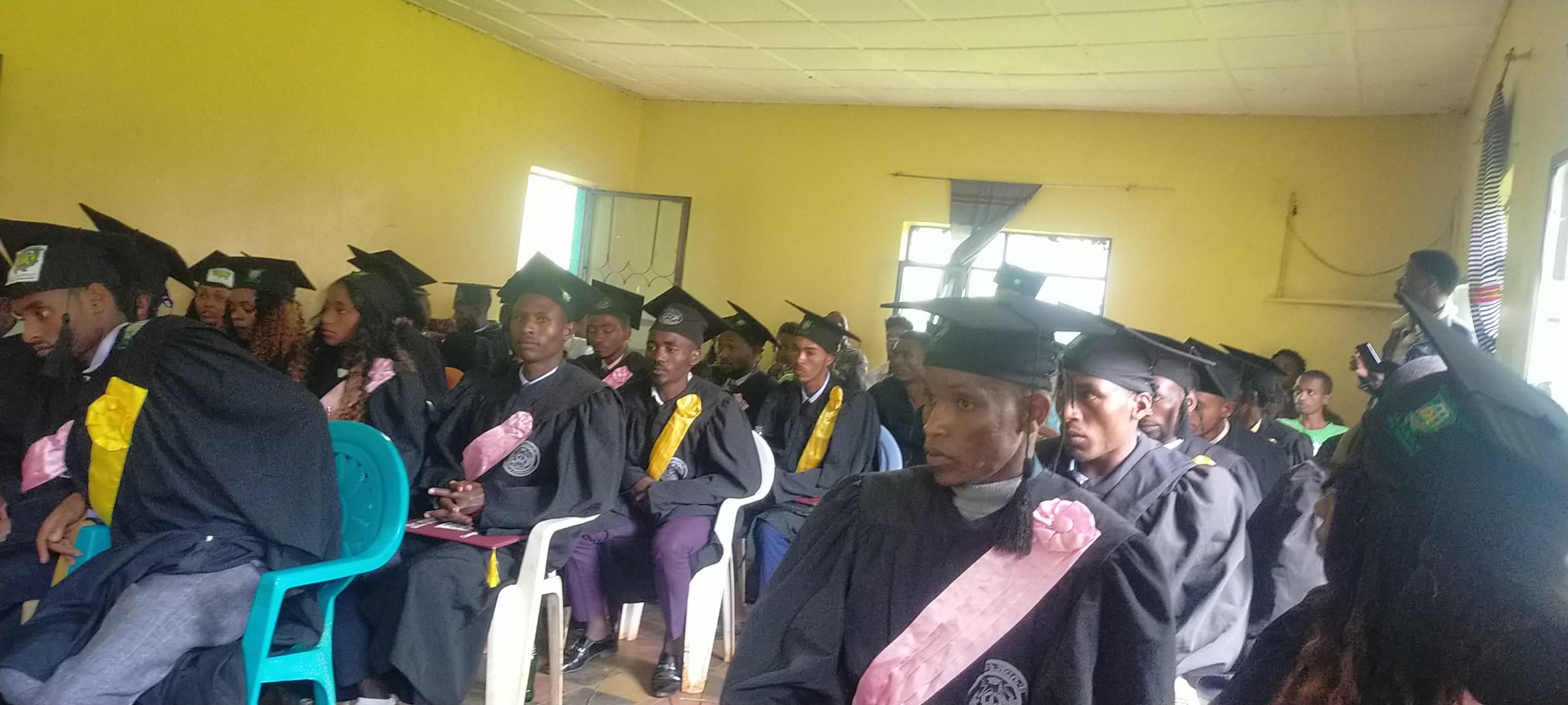 የመጀመሪያ ዲግሪ ድጋፍ