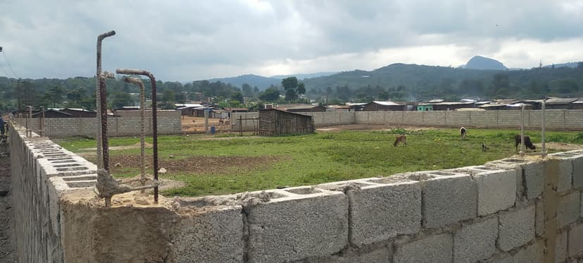 የጮርሶ ወረዳ የቁም እንስሳት ገበያ ማዕከል