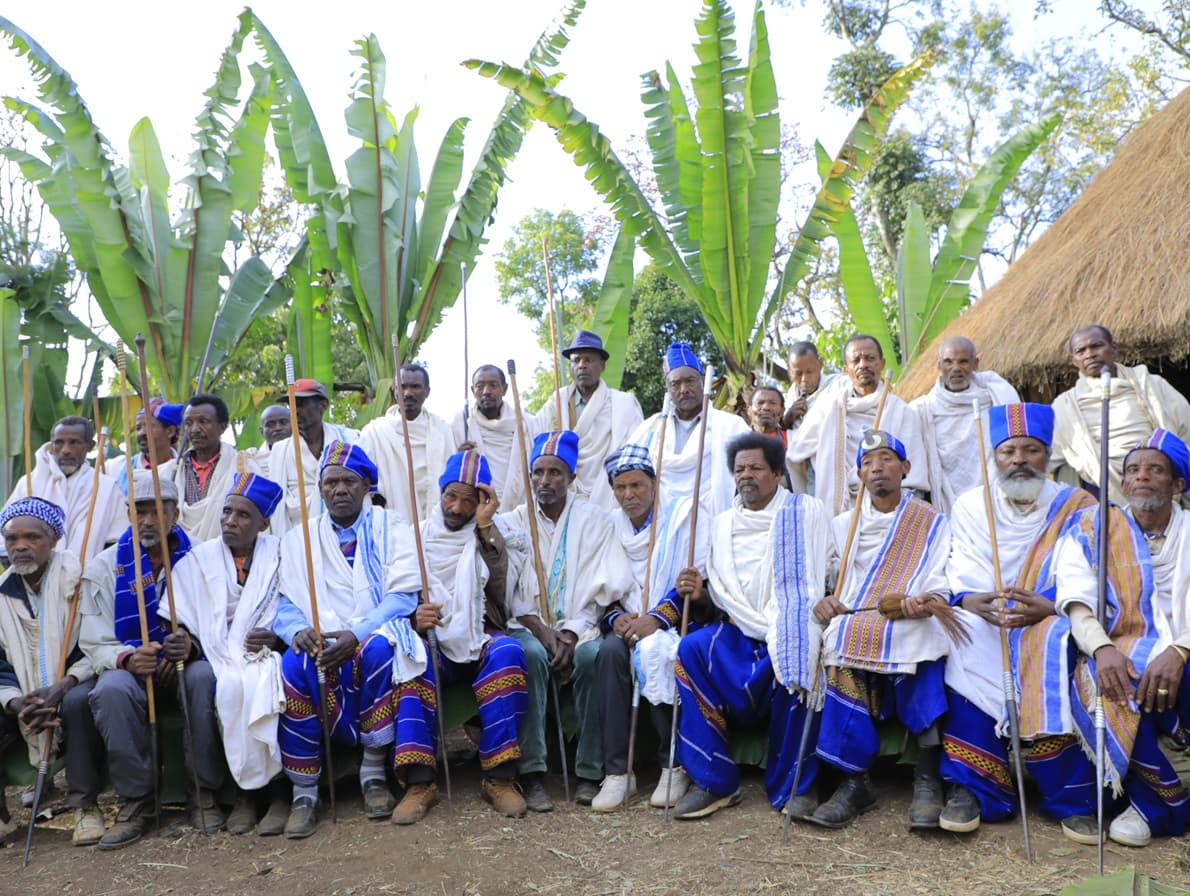 የባህል እንቅስቃሴ