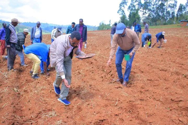 የእርሻ ፕሮጀክት 1