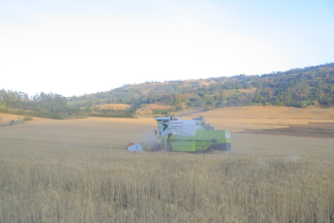 የእርሻ ፕሮጀክት 10