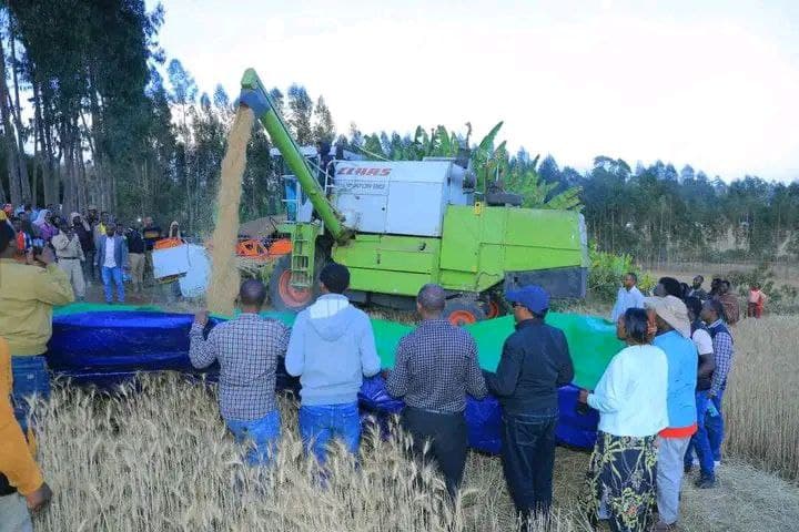 የእርሻ ፕሮጀክት 2