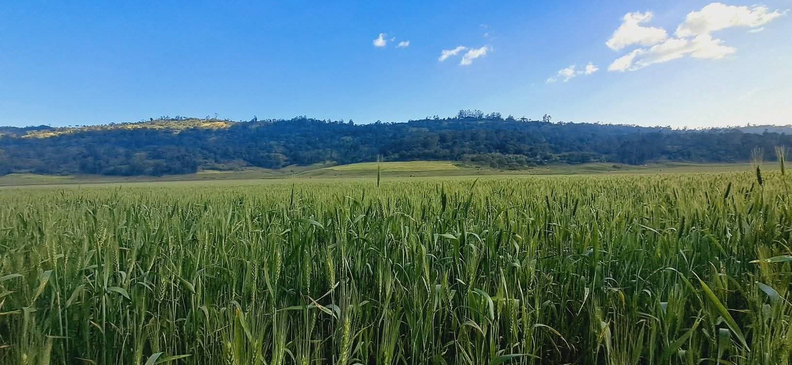 የእርሻ ፕሮጀክት 3