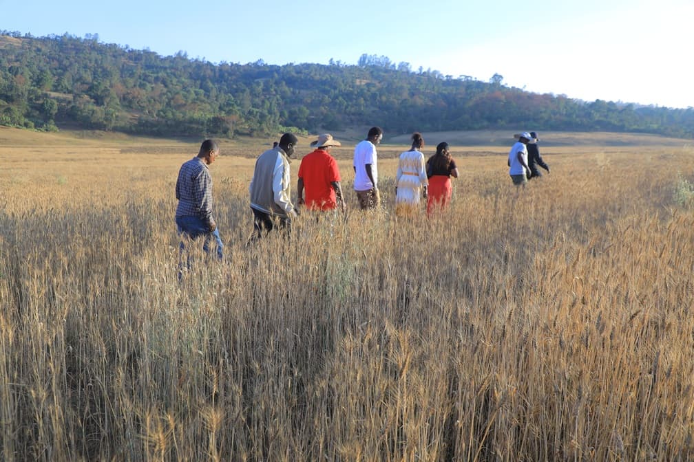 የእርሻ ፕሮጀክት 9